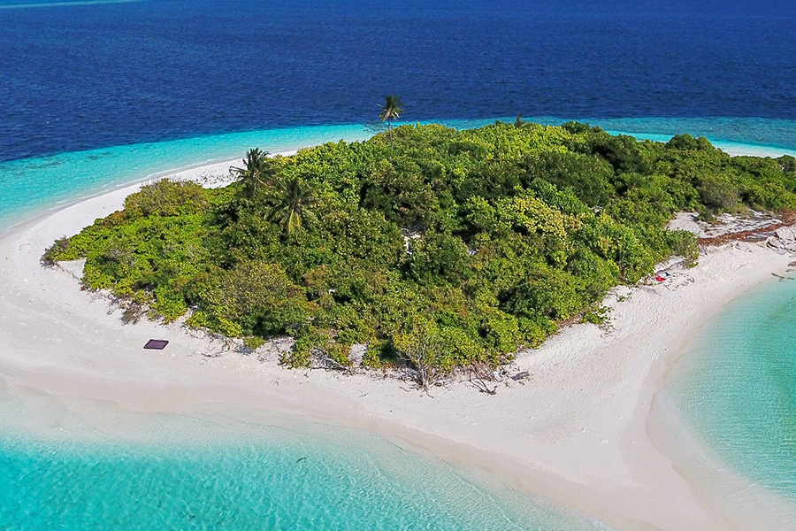 钻石泰达芙士度假村图片3 - Diamonds Thudufushi Beach&Water Villas Resort Photo 3