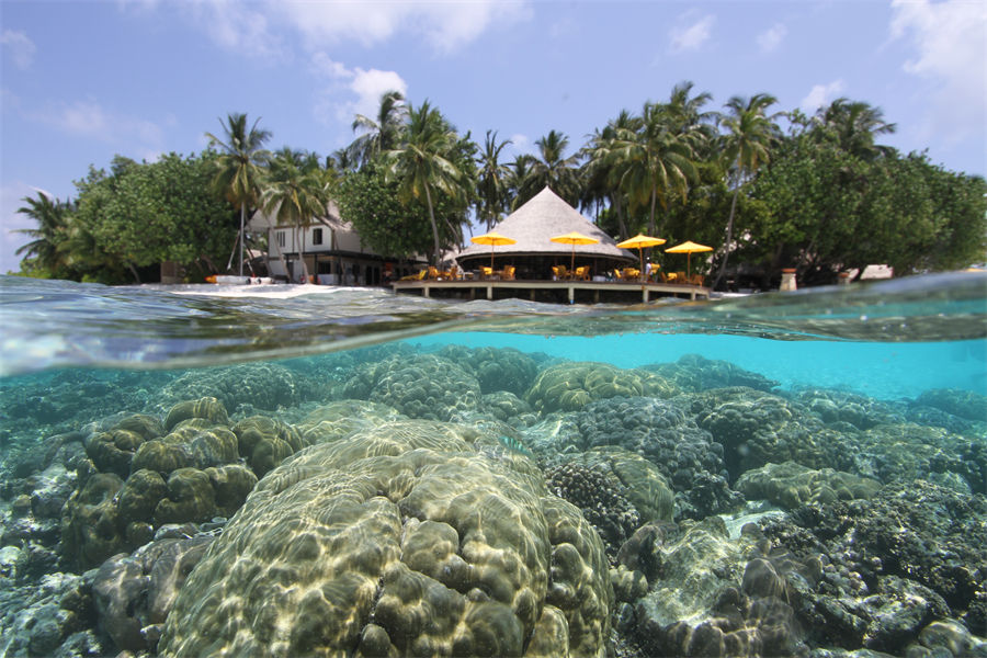 伊瑚鲁 - 潜水图片2 - Dhawa Ihuru Maldives Diving Photo 2