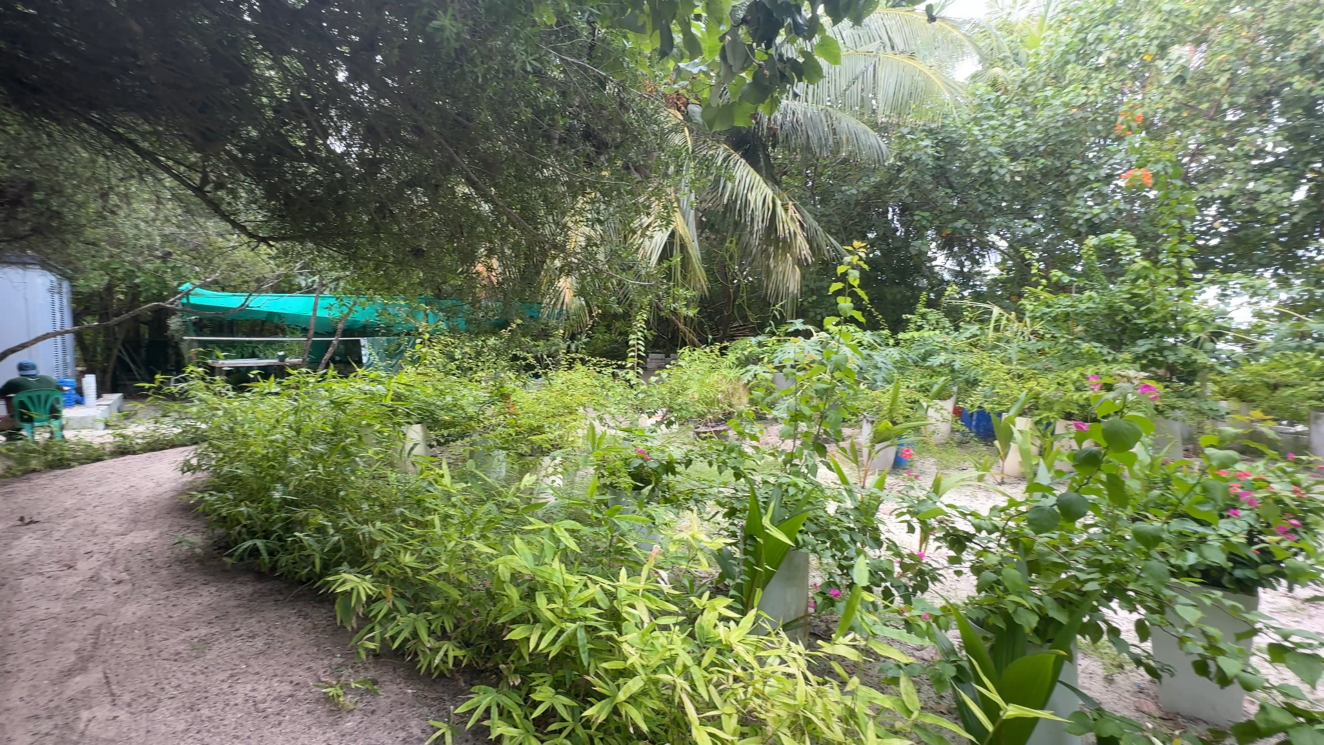 奥臻籁馥玛度 - 环保果园图片4 - Ozen LIFE Maadhoo Hydro Garden Photo 4