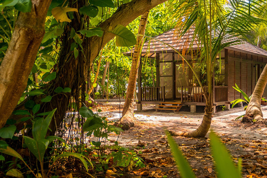 菲亚瓦鲁 - 豪华花园别墅 图片3 - Fiyavalhu Maldives Deluxe Garden Villa Photo 3