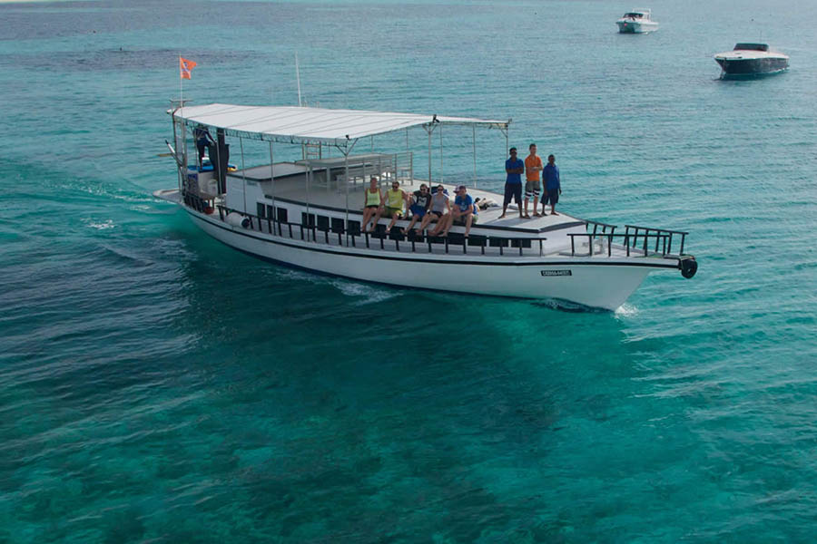 古丽都 - 水上运动&浮潜图片1 - Kuredu lsland Resort & Spa Watersports & Dive Photo 1