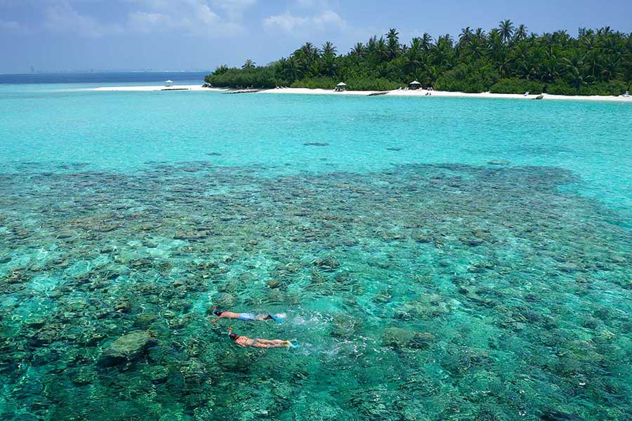 艾布度 - 水上运动 & 浮潜图片2 - Embudu Village Watersports & Diving Photo 2
