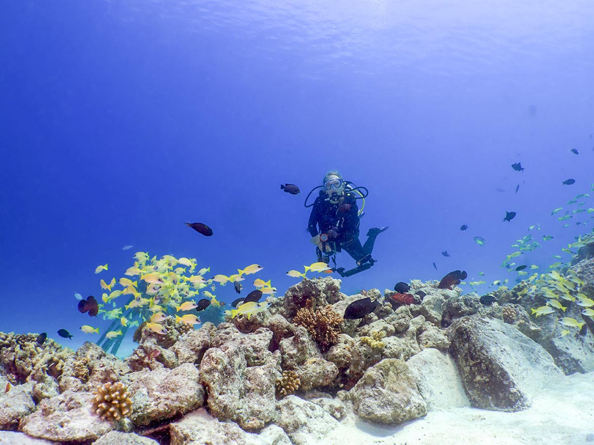 夏日岛 - 水下运动图片2 - Summer Island Maldives Snorkeling Scuba Diving Photo 2