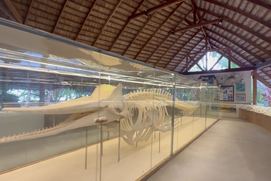 库拉玛蒂 - 博物馆图片1 - Kuramathi Resort Maldives The Museum Photo 1