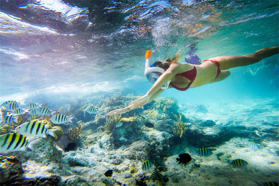 菲诺芙 - 潜水图片1 - Seaside Finolhu Baa Atoll Diving Photo 1
