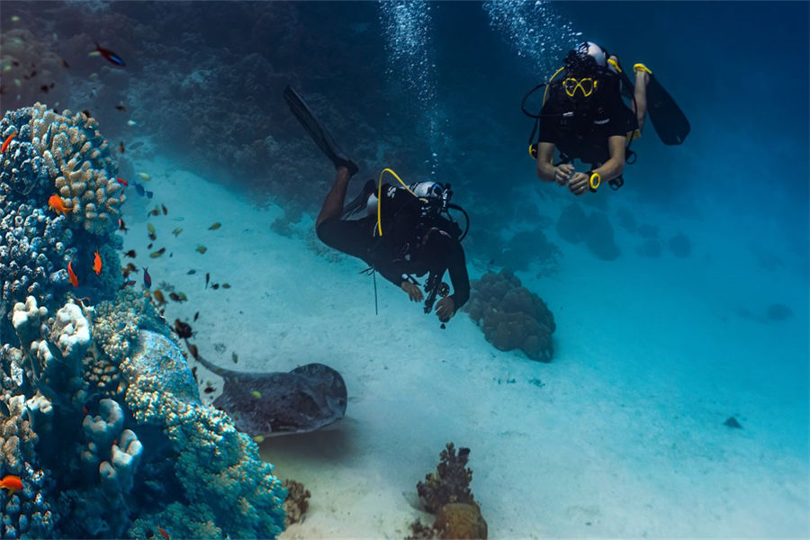 瑰宝 - 潜水图片1 - Heritance Aarah Maldives Luxury Resort Diving Photo 1