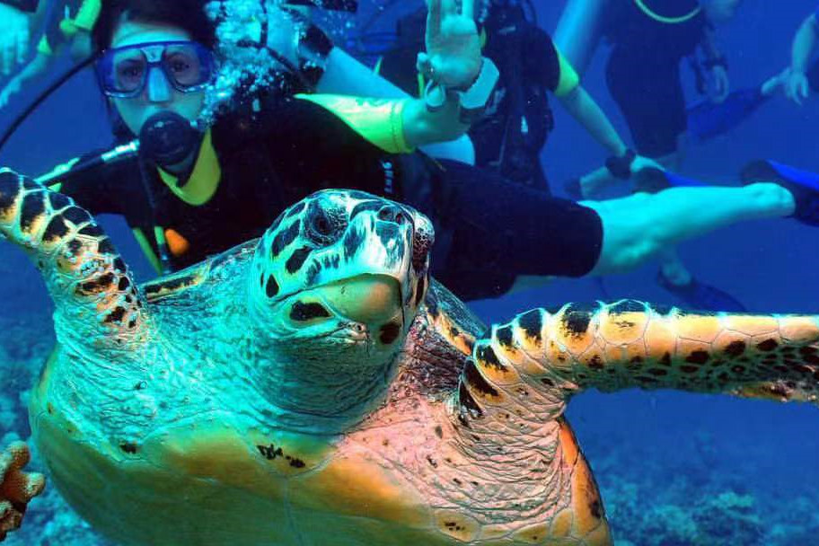 迪加尼 - 潜水和水上运动图片1 - Dhigali Maldives  Photo 1