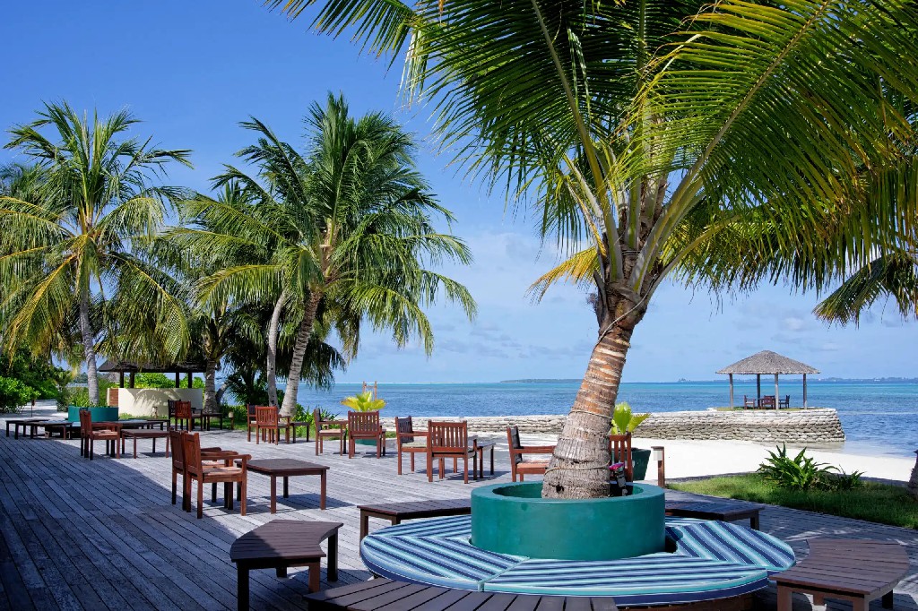 卡娜丽芙岛 - Dhoni 泳池酒吧图片2 - Canareef Resort Maldives Dhoni Bar Photo 2