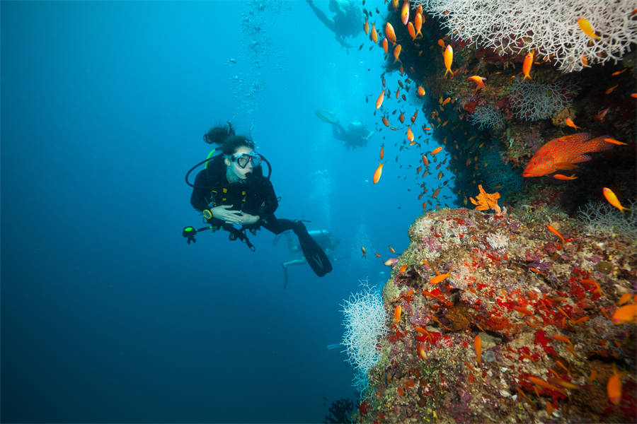 JA玛娜法鲁岛 - 水上活动和潜水图片2 - JA Manafaru Dive Centre Photo 2