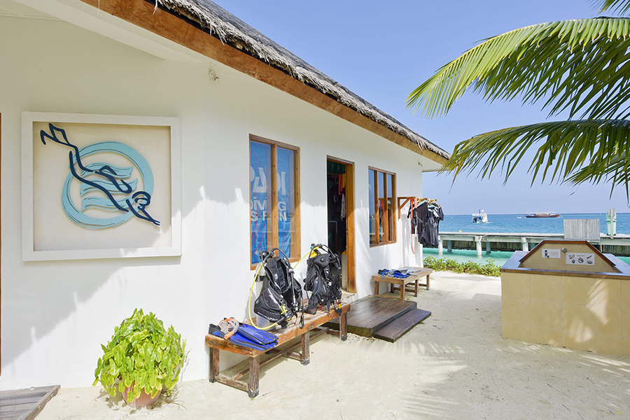 萨芙莉 - 浮潜 & 水上运动图片3 - Safari island Dive & Watersports Photo 3
