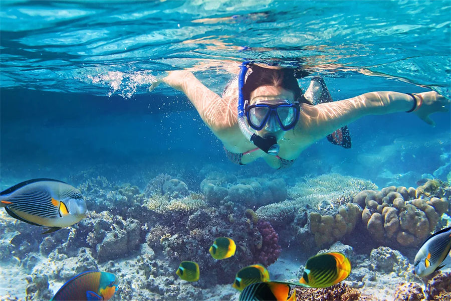 坎多卢 - 潜水图片1 - Kandolhu Island Resort Diving Photo 1