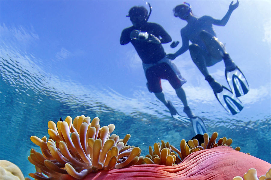 坎迪玛 - 潜水和水上运动图片2 - Kandima Maldives Diving & Water Sports Photo 2