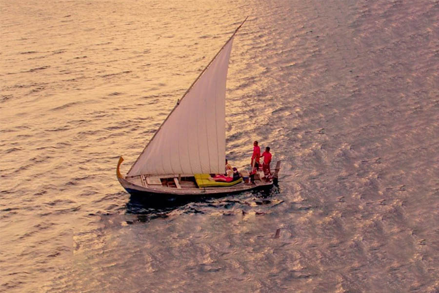 六善肯尼呼拉活动项目 - 日落海豚巡游 - Six Senses Kanuhura Activities