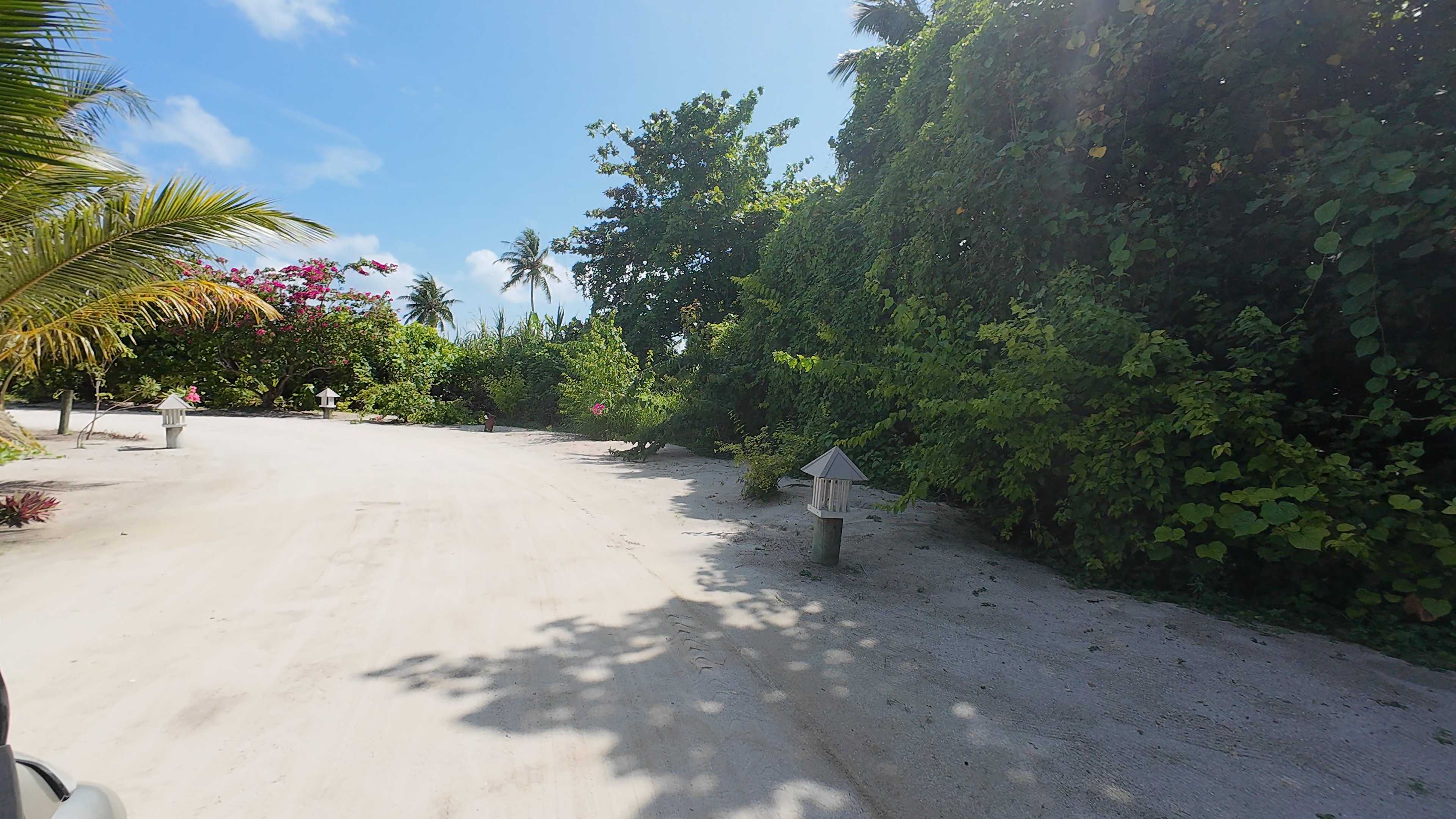 神仙珊瑚 - 蔬果园图片4 - Hideaway Beach Resort &Spa Fruit and vegetable garden Photo 4
