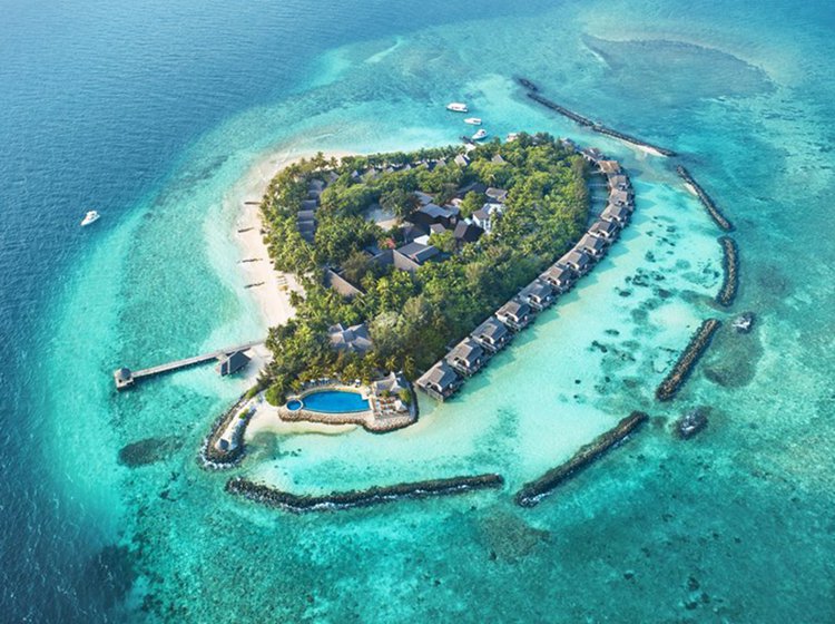 泰姬珊瑚马尔代夫度假村全景 - Taj Coral Reef Resort & Spa Maldives Resort