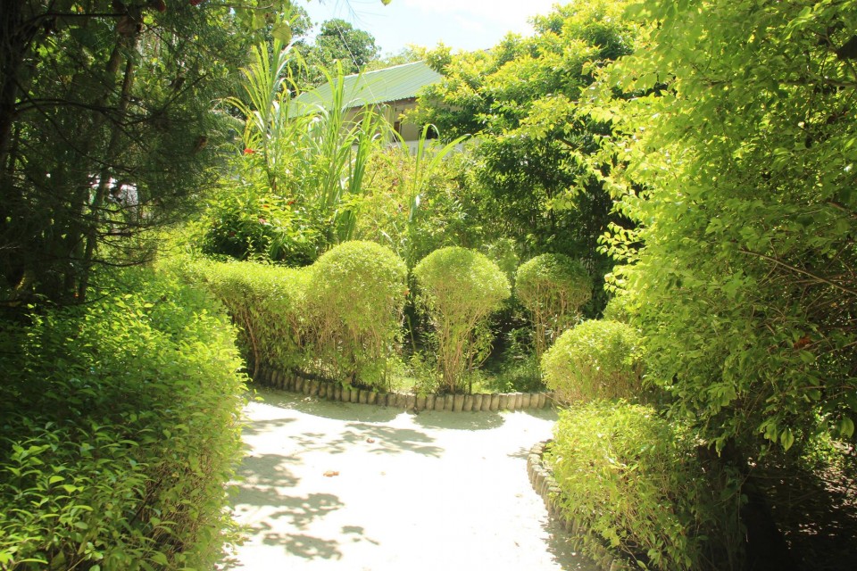 艾瑞雅度度假村图片7 - Eriyadu Maldives Resort Photo 7