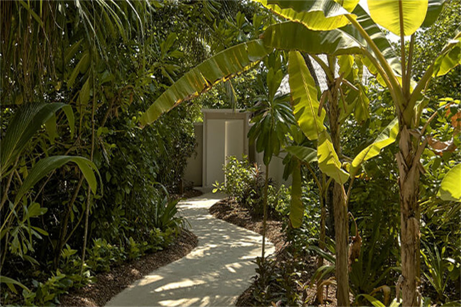 菲诺芙 - 海滩别墅图片4 - Seaside Finolhu Baa Atoll Beach Villa Photo 4