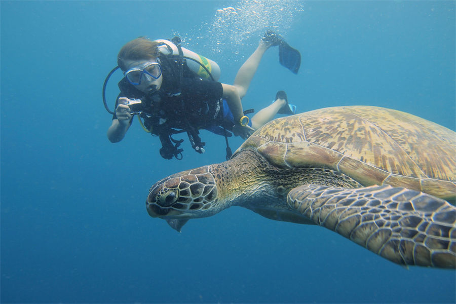 四季沃亚瓦私人岛 - 潜水中心图片3 - Four Seasons Private Island Maldives At Voavah Diving Center Photo 3