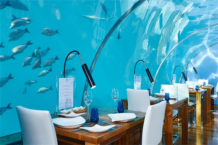 港丽 - 伊塔海底餐厅图片4 - Conrad Maldives Rangali lsland Ithaa Undersea Photo 4