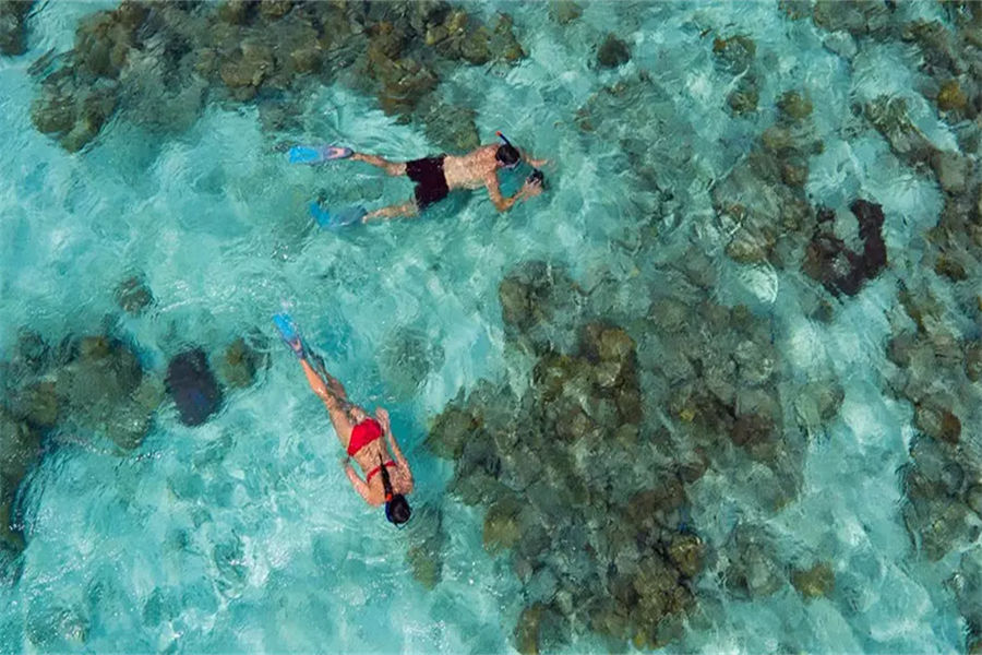 安纳塔拉吉哈瓦岛 - 潜水图片1 - Anantara Kihavah Villas Diving Photo 1