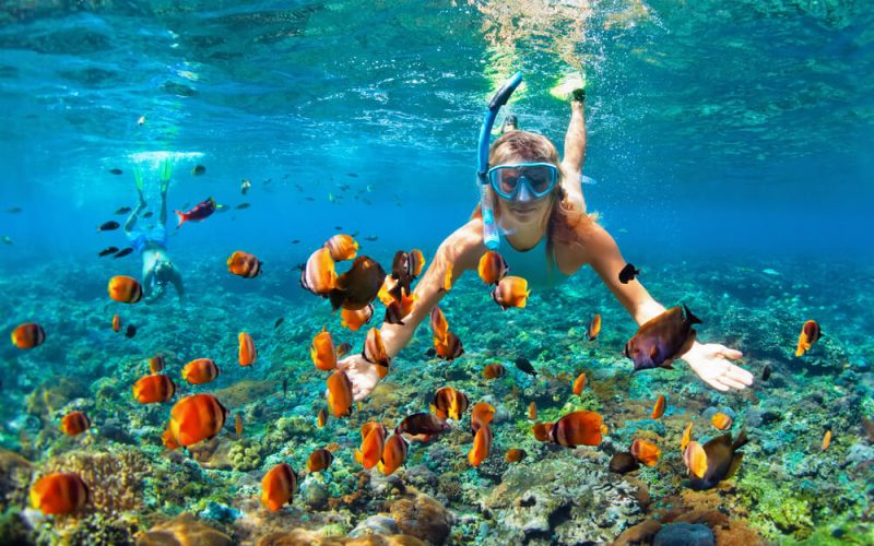 巴廖尼 - 浮潜&水上运动图片1 - Baglioni Resort Maldives Diving&Water Sports Photo 1