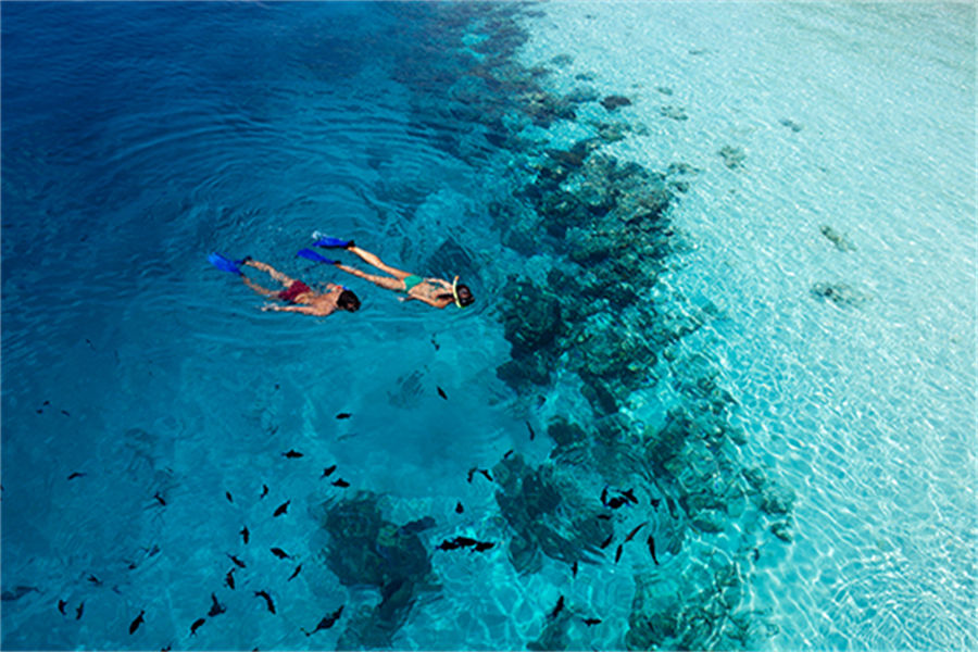 维拉蔓豪 - 潜水图片1 - Vilamendhoo Island Resort  Dive Centre Photo 1