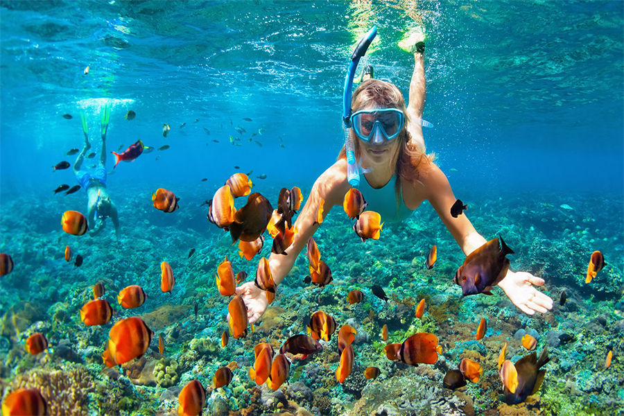 康杜玛 - 潜水图片1 - Holiday Inn Resort Kandooma Maldives  Diving Photo 1