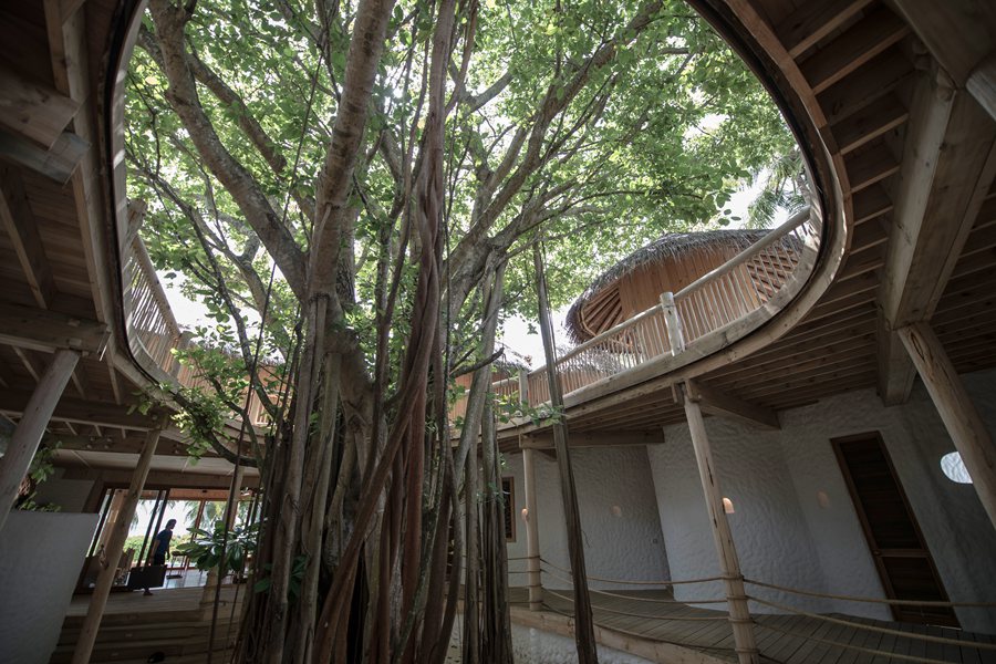索尼娃富士 - 四卧15号泳池住宅（带滑梯）图片3 - Soneva Fushi Villa 15 (4 Bedrooms)  Photo 3