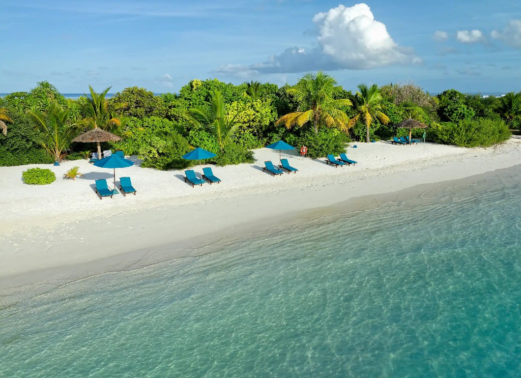 卡娜丽芙岛 - 海滩酒吧图片1 - Canareef Resort Maldives Beach Bar Photo 1