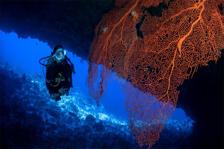 玛丽富士 - 潜水活动图片4 - Maalifushi by COMO，Maldives Diving Photo 4