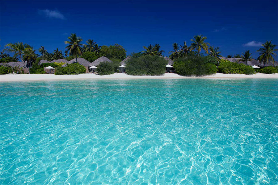 维拉沙鲁 - 沙滩别墅图片4 - Velassaru Maldives Resort Beach Villa Photo 4