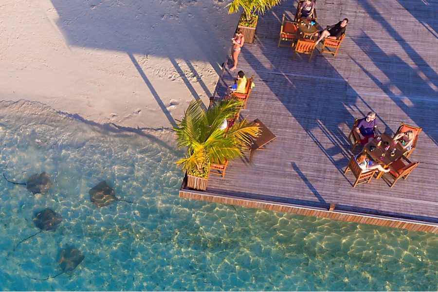 美露丽芙 - 鹦鹉螺主酒吧图片1 - Sun Siyam Vilu Reef The Nautilus Photo 1