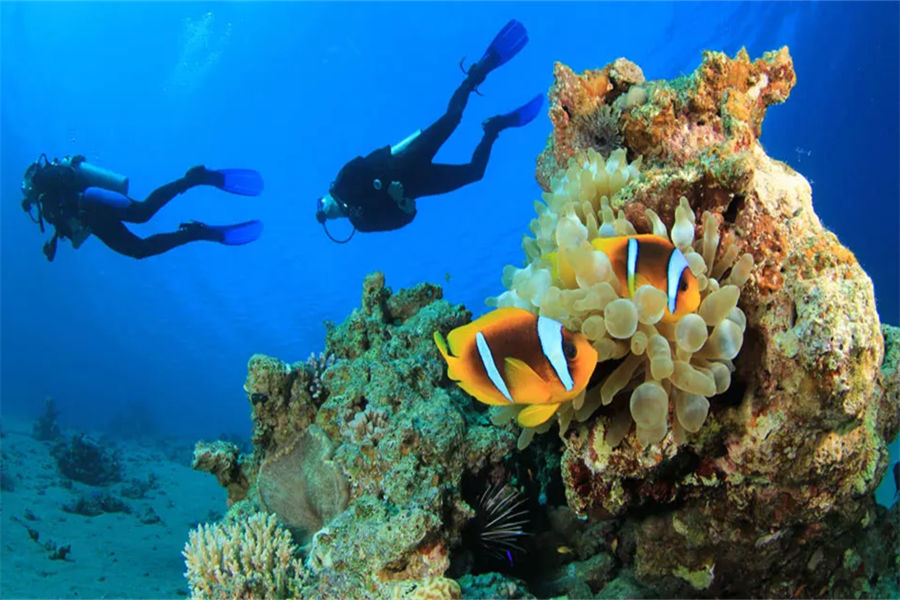 安纳塔拉笛古 - 潜水图片1 - Anantara Dhigu Resort & Spa Diving Photo 1