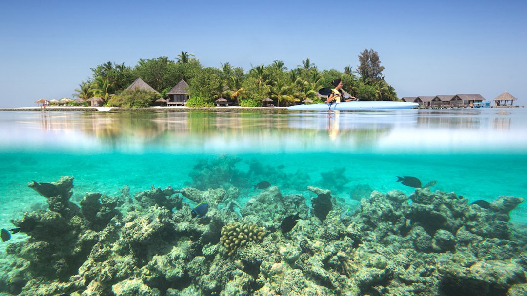 甘格西度假村图片1 -  Gangehi lsland Resort Resort Photo 1