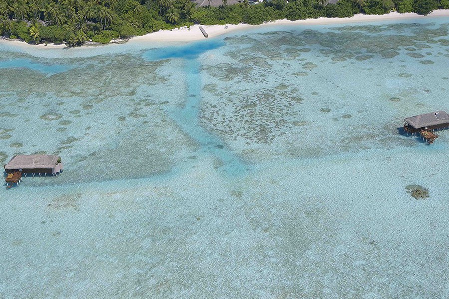 曼德芙仕 - 泻湖套房图片2 -  Medhufushi lsland Resort Lagoon Suites Photo 2