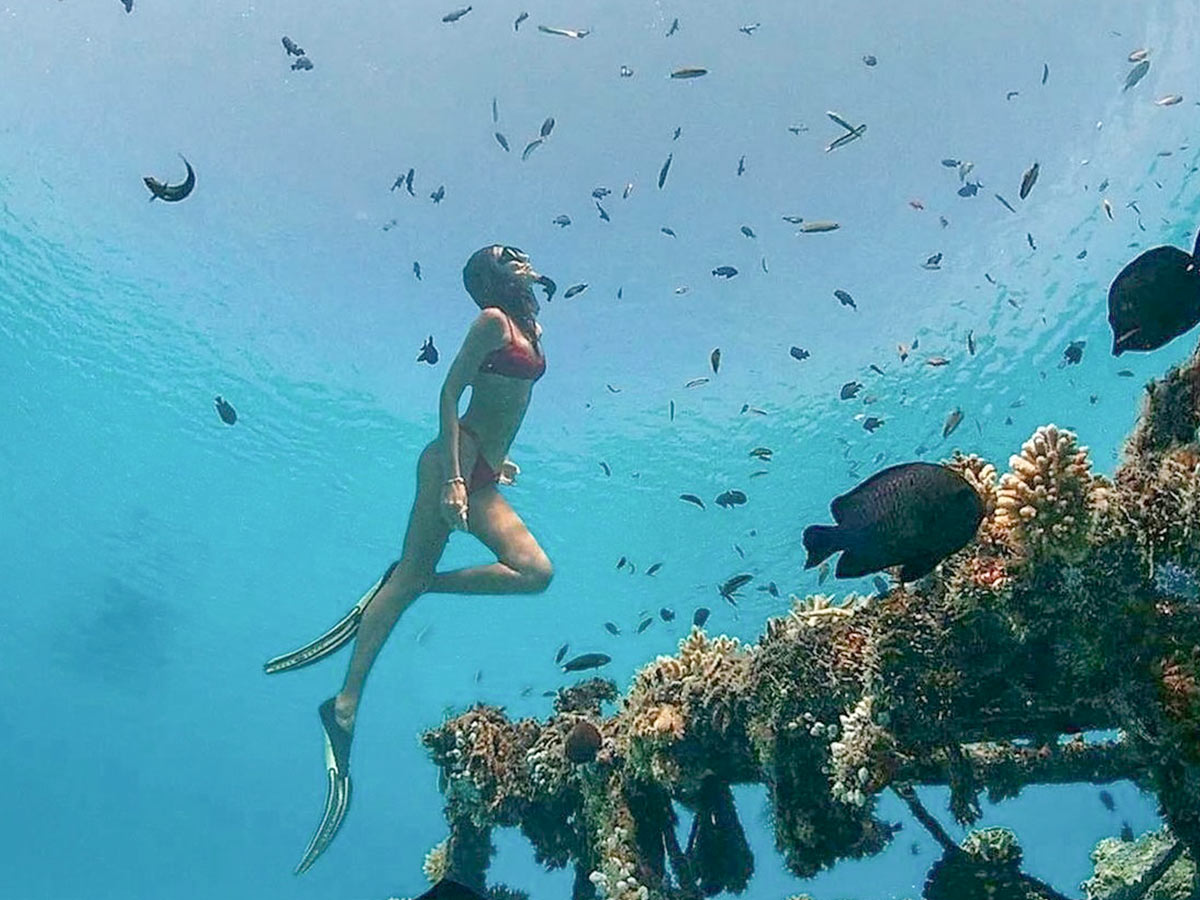 夏日岛 - 水下运动图片1 - Summer Island Maldives Snorkeling Scuba Diving Photo 1