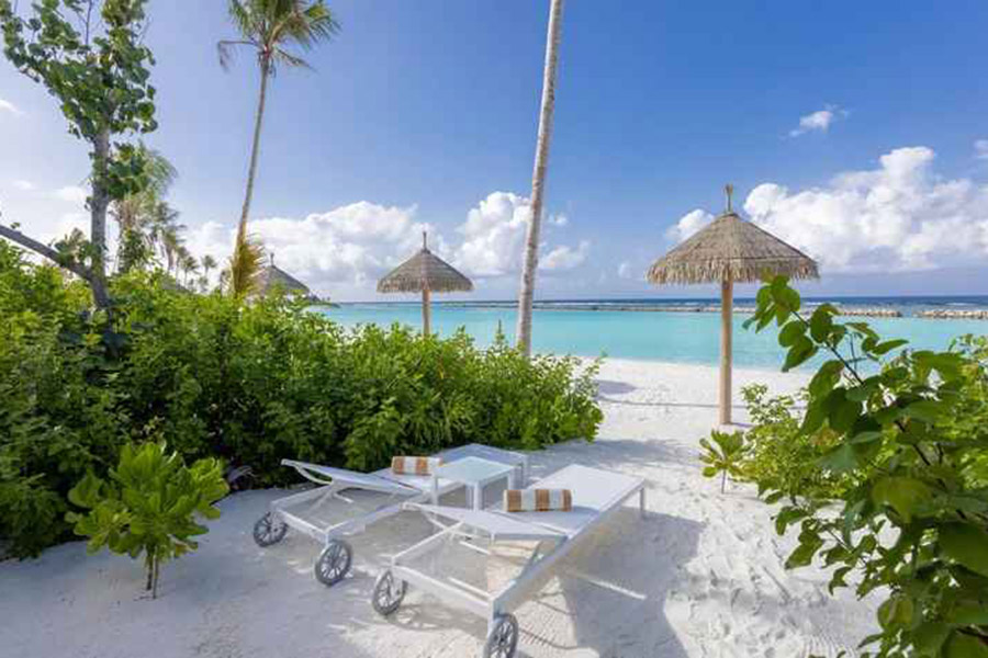 欢乐岛 - 海滩别墅图片3 - Joy Island Maldives Beach Villa Photo 3