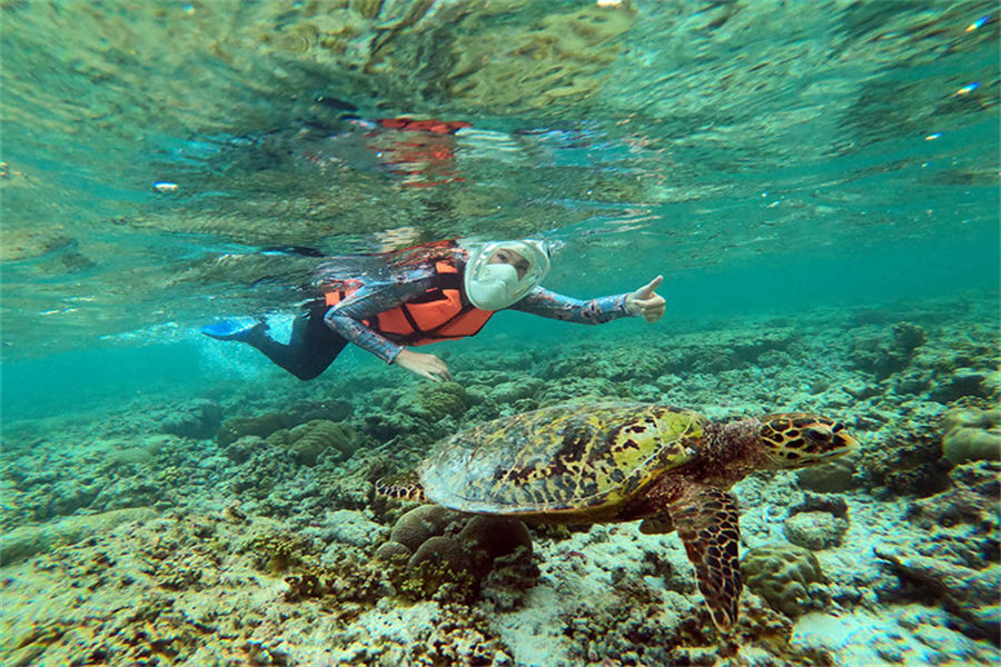 奥露哈林吉利 - 潜水图片4 - OBLU NATURE HelenGeli Diving Photo 4