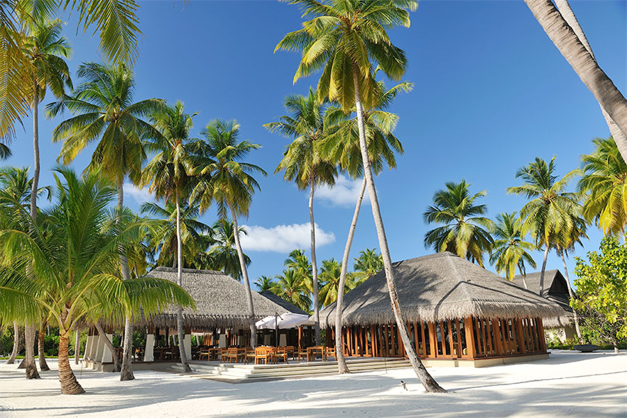 阿雅达 - 主餐厅图片4 - Ayada Maldives Magu Photo 4