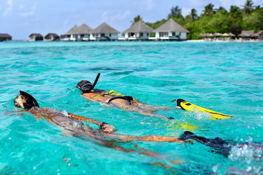甘格西 - 浮潜图片1 -  Gangehi lsland Resort Snorkeling Photo 1