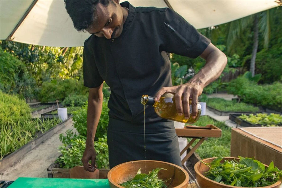 姬丽兰卡富士 - 有机菜园图片2 - Gili Lankanfushi Maldives Organic Garden Photo 2