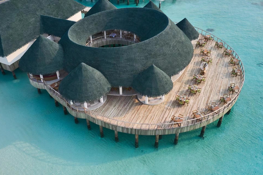 禧亚世嘉 - 印度餐厅图片2 - Siyam World Maldives Kurry Leaf Photo 2
