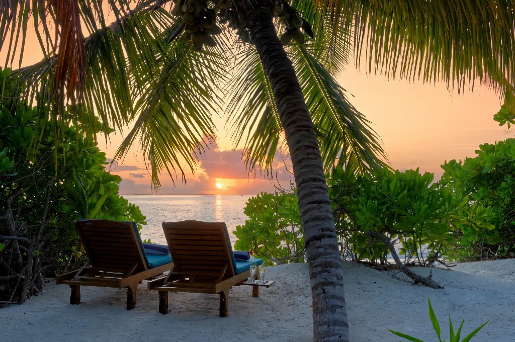 卡娜丽芙岛 - 高级海滩别墅（带漩涡浴缸）图片3 - Canareef Resort Maldives Premium Beach Villa with Whirlpool Photo 3
