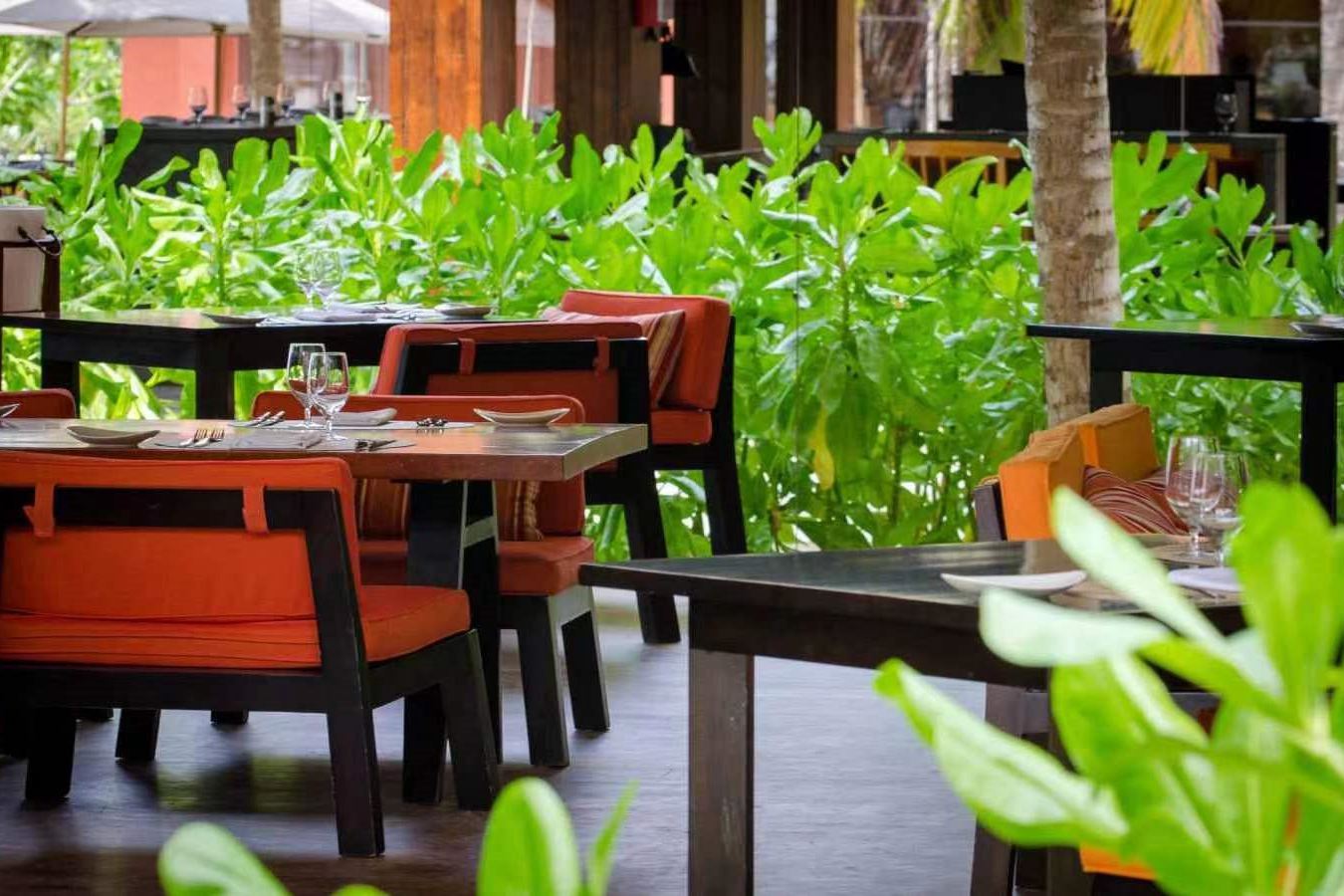 阿米拉富士 - Barolo烧烤餐厅图片3 - Amilla Fushi Barolo Photo 3