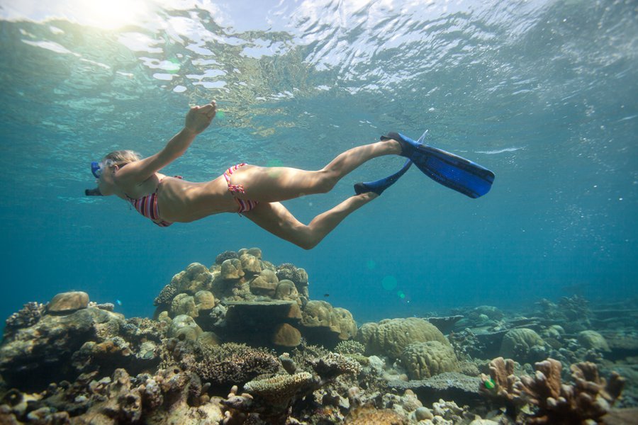 伊露富士（伊露） - 水上活动和潜水图片1 - Sun Siyam Iru Fushi Dive Centre Photo 1