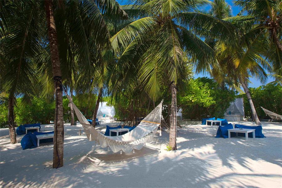 维拉沙鲁 - Fen酒吧图片2 - Velassaru Maldives Resort Fen Bar Photo 2