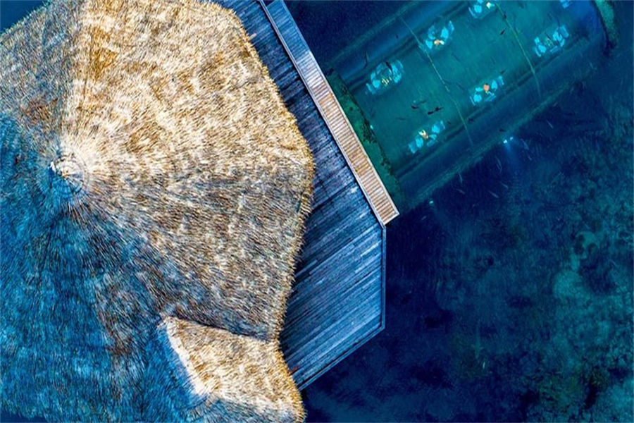 港丽 - 伊塔海底餐厅图片2 - Conrad Maldives Rangali lsland Ithaa Undersea Photo 2