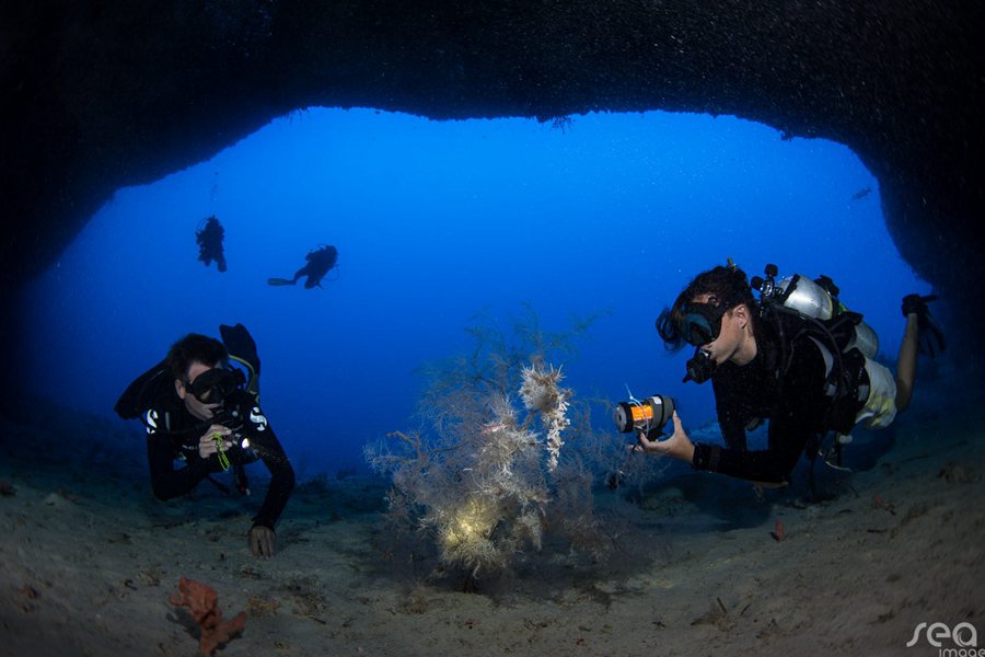 诺库 - 潜水图片1 - Noku Maldives Diving and Snorkeling Photo 1