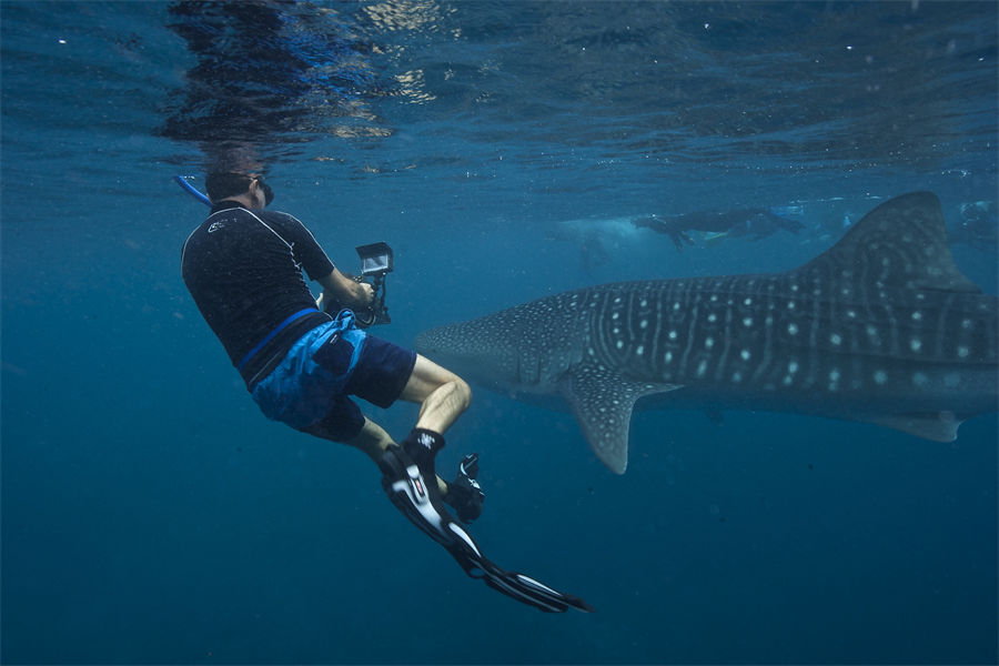 奥臻籁馥玛度 - 潜水和水上运动图片3 - Ozen LIFE Maadhoo Diving & Water Sports Photo 3
