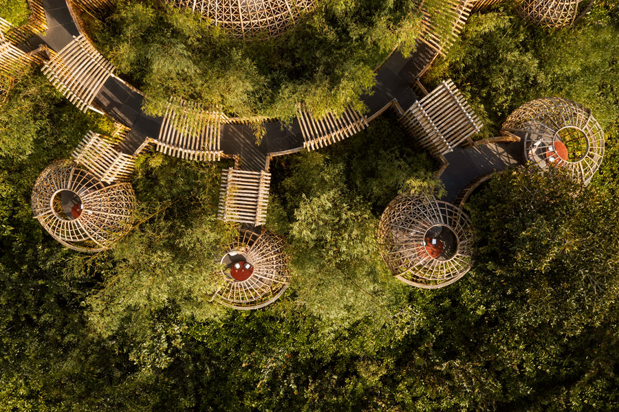 华尔道夫 - 泰拉树屋餐厅图片1 - Waldorf Astoria Maldives Ithaafushi  Terra Photo 1